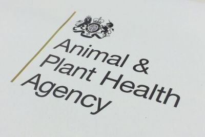 Julys Animal Health and Welfare Review